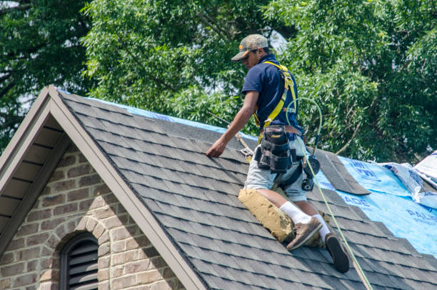 Best Shingle Roofing Installation  in Belvidere, IL
